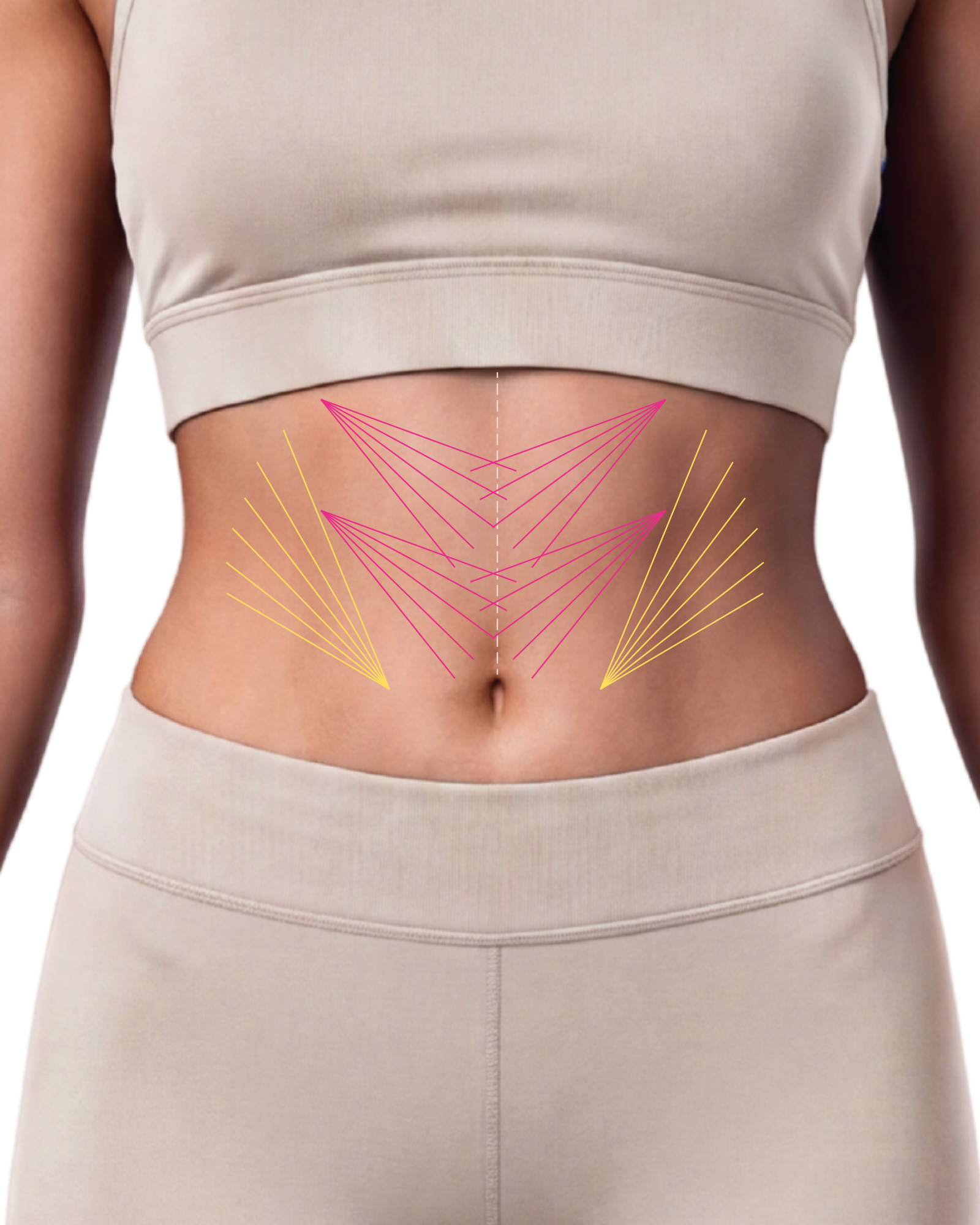 Mapa de vetores do protocolo Body Secrets para firmeza e sustentação abdominal